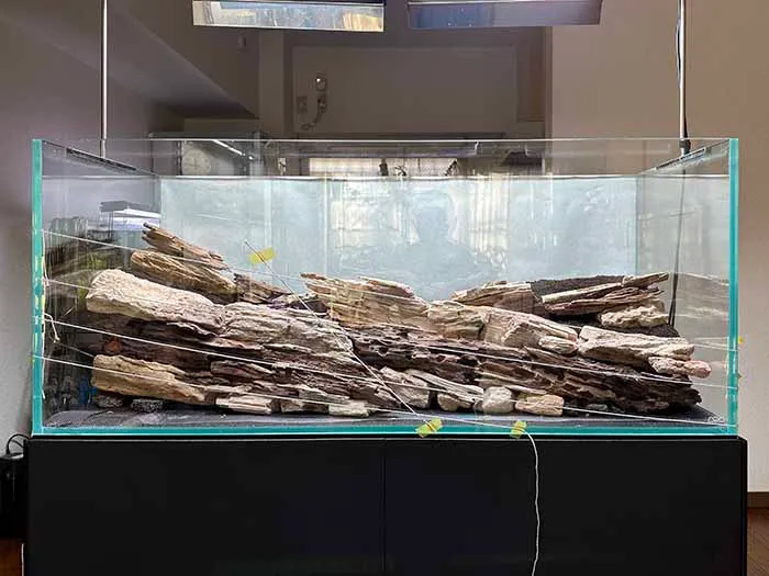 Aquascaping steps Color layers of the earth IAPLC 2024 - Kazuma Takeuchi / Japan